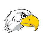 air force.png