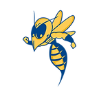 air force.png